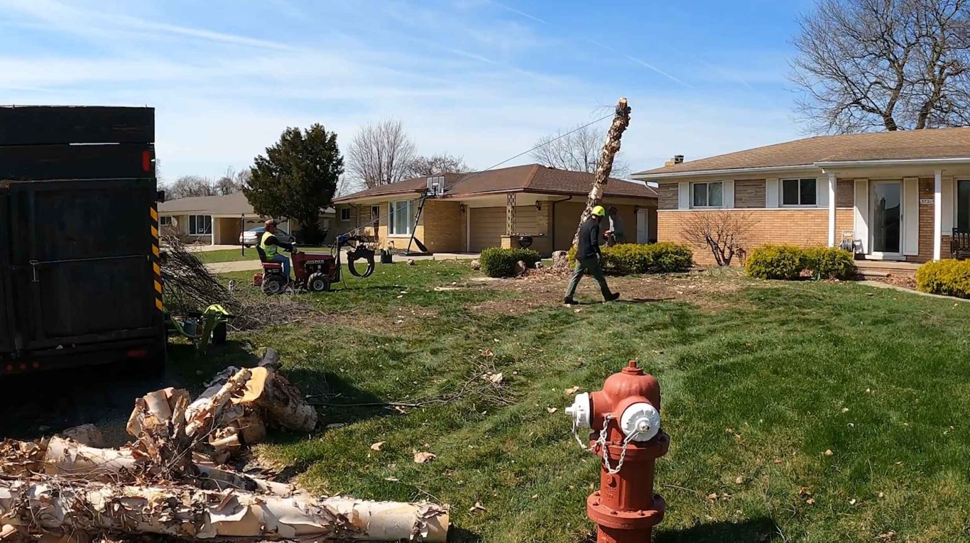 Professional tree service crew in Blacksburg, VA
